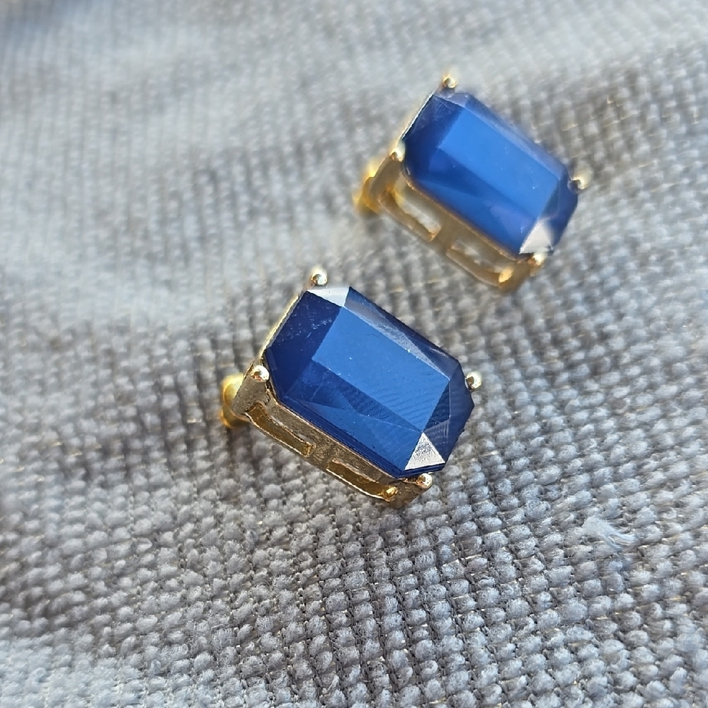 Elegant Blue and Gold Earrings - Picture 6 of 6
